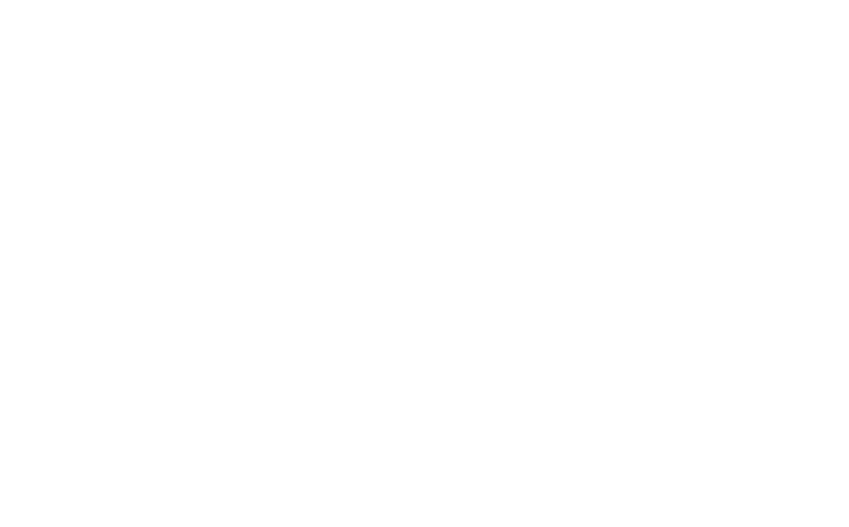 All American Whisky since 1860
